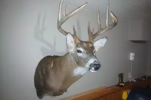 26904 Cedar Rd, Cushing, MN 56443 - Photo 64