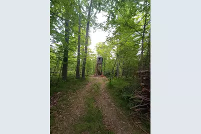 5415 24th Avenue NE, Longville, MN 56655 - Photo 34