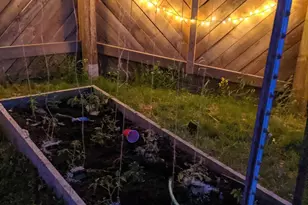 1501 Elm St S, Cambridge, MN 55008 - Photo 36