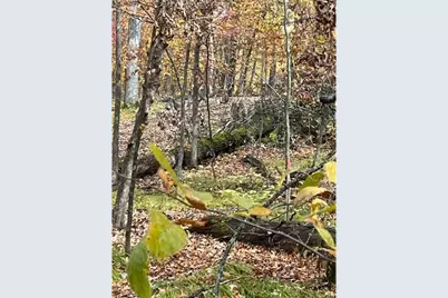 Lot 3 Tiger Street NW, Zimmerman, MN 55398 - Photo 24