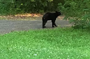 438 280th St, Osceola, WI 54020 - Photo 30