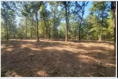 Tbd Whisper Trail, Birchwood, WI 54817 - Photo 8