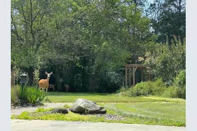 1090 Buckridge Drive NE, Rochester, MN 55906 - Photo 58