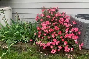 509 4th Ave NE, Byron, MN 55920 - Photo 52