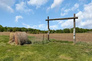 10448 345th St, Saint Joseph, MN 56374 - Photo 42