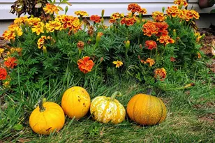 26504 Lakeview Dr, Mora, MN 55051 - Photo 6