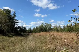 Tbd Moonlight Ln SW, Bemidji, MN 56601 - Photo 1