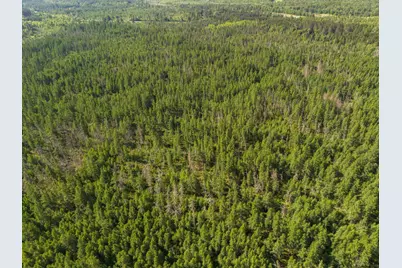 Tbd N Plantangenet Road SE, Bemidji, MN 56601 - Photo 34