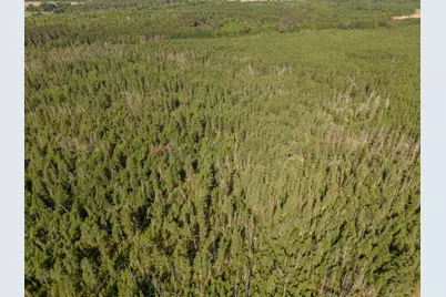 Tbd N Plantangenet Road SE, Bemidji, MN 56601 - Photo 20