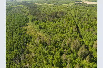 Tbd N Plantangenet Road SE, Bemidji, MN 56601 - Photo 32