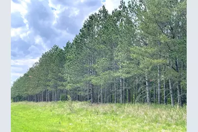 Tbd N Plantangenet Road SE, Bemidji, MN 56601 - Photo 4