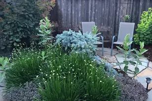 5325 Chowen Ave S, Minneapolis, MN 55410 - Photo 28