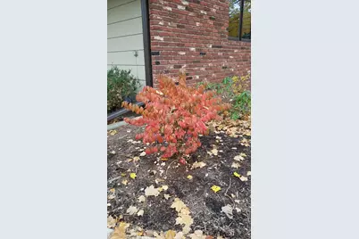 1795 Lake Valentine Road, Arden Hills, MN 55112 - Photo 48