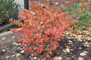 1795 Lake Valentine Rd, Arden Hills, MN 55112 - Photo 48