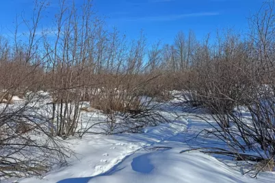 0000 Fairview Road, Kettle River, MN 55757 - Photo 28