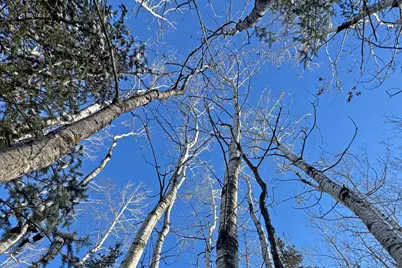 0000 County Highway 77, Tower, MN 55790 - Photo 30