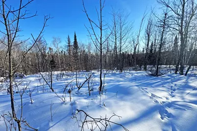 0000 County Highway 77, Tower, MN 55790 - Photo 32