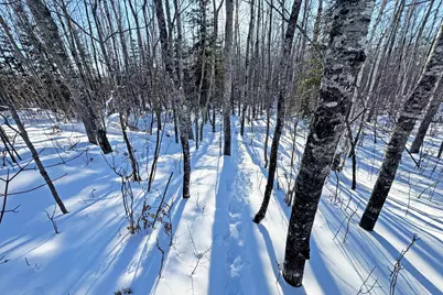 0000 County Highway 77, Tower, MN 55790 - Photo 28