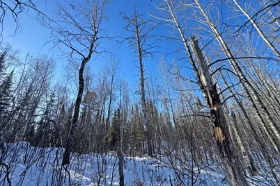 0000 County Highway 77, Tower, MN 55790 - Photo 44