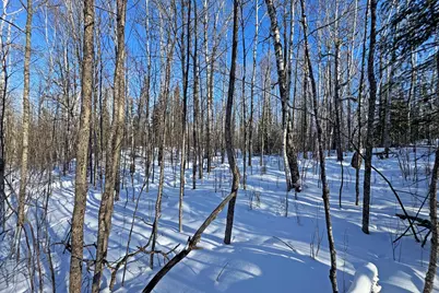 0000 County Highway 77, Tower, MN 55790 - Photo 46