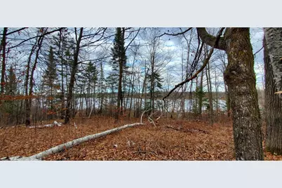 Tbd - Tract 2 Ticonderoga Trail, Hackensack, MN 56425 - Photo 4