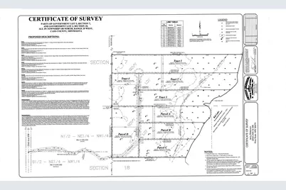 Tbd - Tract 3 Ticonderoga Trail, Hackensack, MN 56425 - Photo 10