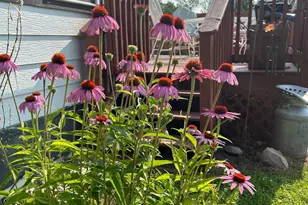 7005 County Rd 82 SE, Alexandria, MN 56308 - Photo 2