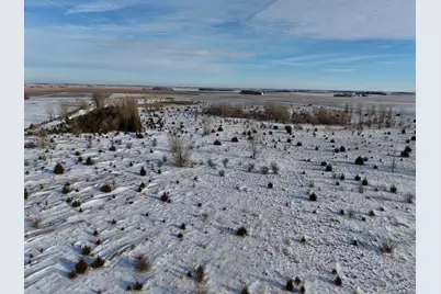 51 County Road, Bingham Lake, MN 56118 - Photo 6