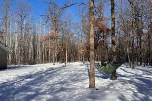 33798 Twin Oaks Trail W, Motley, MN 56466 - Photo 38