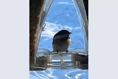 33798 Twin Oaks Trail W, Motley, MN 56466 - Photo 44