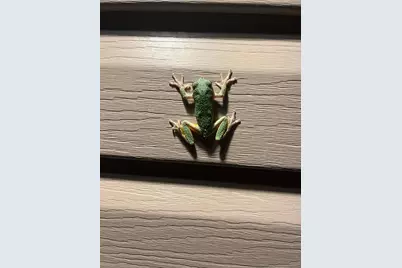 33798 Twin Oaks Trail W, Motley, MN 56466 - Photo 44