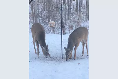33798 Twin Oaks Trail W, Motley, MN 56466 - Photo 42