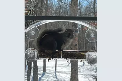 33798 Twin Oaks Trail W, Motley, MN 56466 - Photo 42