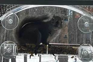 33798 Twin Oaks Trail W, Motley, MN 56466 - Photo 42