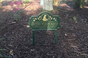 33798 Twin Oaks Trail W, Motley, MN 56466 - Photo 8