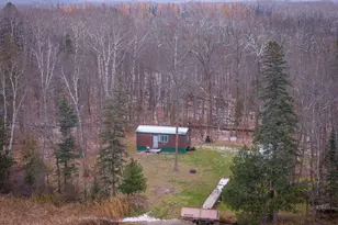 28615 Hwy 89, Bemidji, MN 56601 - Photo 14