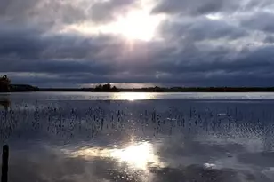 28615 Hwy 89, Bemidji, MN 56601 - Photo 30