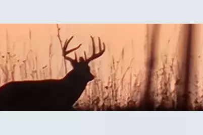 Tbd Sayles Road, Houston, MN 55943 - Photo 42