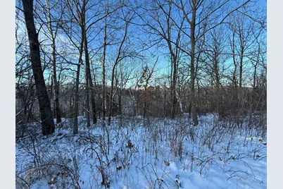 Tbd Sayles Road, Houston, MN 55943 - Photo 24