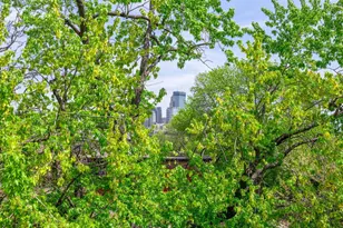 1014 Mt Curve Ave, Minneapolis, MN 55403 - Photo 44