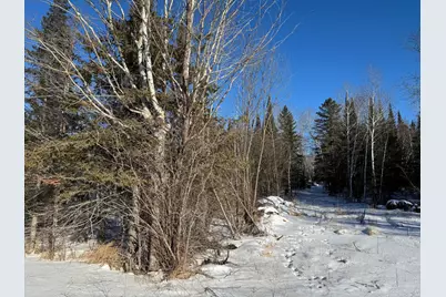 28390 Hornet Road NE, Blackduck, MN 56630 - Photo 8