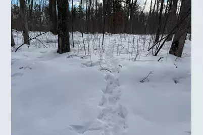 Tbd Foss Lane, Spooner, WI 54801 - Photo 4