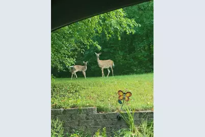 128 E Walnut Street, Glenwood City, WI 54013 - Photo 56