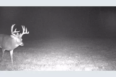 S849 County Road F, Nelson, WI 54756 - Photo 110