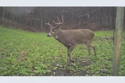 S849 County Road F, Nelson, WI 54756 - Photo 20