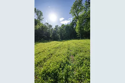 S849 County Road F, Nelson, WI 54756 - Photo 12