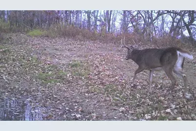 S849 County Road F, Nelson, WI 54756 - Photo 112