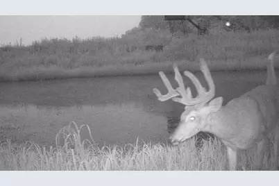 S849 County Road F, Nelson, WI 54756 - Photo 102