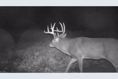 S849 County Road F, Nelson, WI 54756 - Photo 28