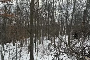 Tbd 180th Ave, Balsam Lake, WI 54810 - Photo 1